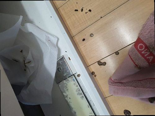 원미구 하수구막힘 도당동 하수구막힘이란 무엇인가 아파트 역류 현장